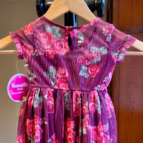 Nannette Kids Girls Pleated Tulle Overlay Velvet Ribbon Waist Rose Dress 2T 4T - Picture 3 of 8